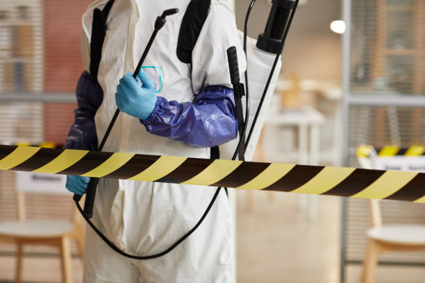 Professional Sewage Cleanup technician working in Missouri, MO